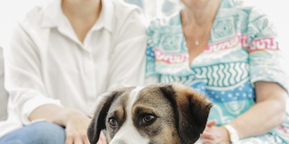 Hundehotel - Hund im Restaurant erlaubt - Schmallenberg - Landhotel Baumwipfel