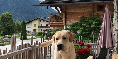 Hundehotel - barrierefrei - Ramsau am Dachstein - Promi Alm Flachau
