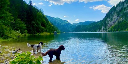 Hundehotel - Umgebungsschwerpunkt: Fluss - Sankt Martin am Tennengebirge - Promi Alm Flachau