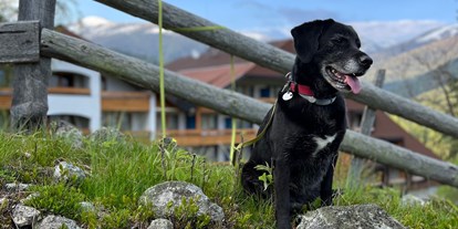 Hundehotel - Preisniveau: moderat - Feld am See - Das Hotel St. Oswald ist ideal für Hunde geeignet - Hotel St. Oswald