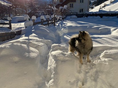 Hundehotel - Hund im Restaurant erlaubt - Bramberg am Wildkogel - Urlaub mit Hund im Winter - Hotel Sonja