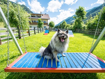 Hundehotel - Hund im Restaurant erlaubt - Steinhaus im Ahrntal - Hotel Sonja