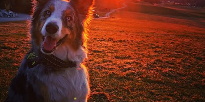 Hundehotel - Schwerpunkt: Familie - Sonnenuntergang beim Schusterbauer mit MARLEY - Schusterbauer Koppl 