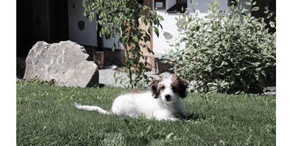 Hundehotel - Sauna - Bad Leonfelden - INNs HOLZ hundefreundliches Chaletdorf Urlaub mit Hund im Sommer - INNs HOLZ Chaletdorf