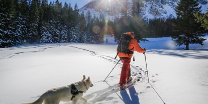 Hundehotel - Umgebungsschwerpunkt: Berg - Windischgarsten - Skitouren mit Hund - Sloho Bergurlaub