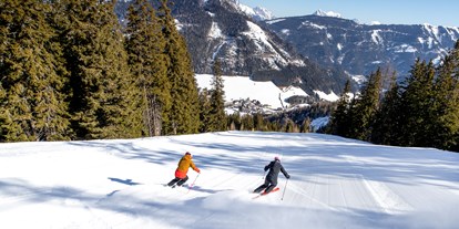 Hundehotel - Umgebungsschwerpunkt: Berg - Murtal - Skifahren im Murtal - Sloho Bergurlaub