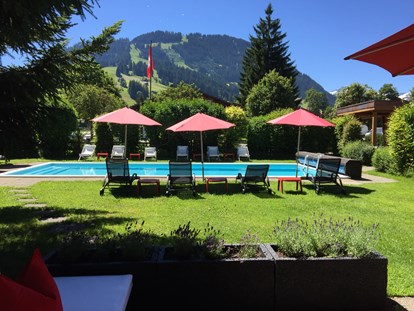 Hundehotel - Pools: Außenpool beheizt - Schweiz - Pool - Arc-en-ciel Gstaad