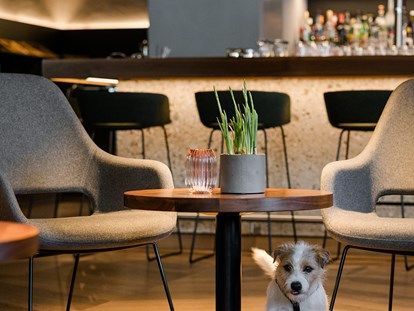Hundehotel - Zell am See - Hotel Bergzeit