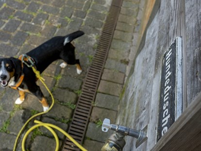 Hundehotel - Trink-/Fressnapf: an der Rezeption - Nordsee - sonnenresort HÜTTMANN