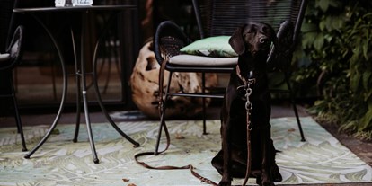 Hundehotel - Hund im Restaurant erlaubt - Seis am Schlern - B&B Hotel BOTANGO