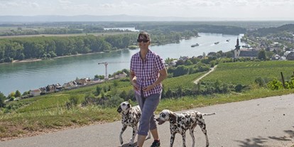 Hundehotel - Massage - Wandern auf dem Rheinterrassenweg,  am Roter Hang bei Nierstein. - FeWo-Oppenheim