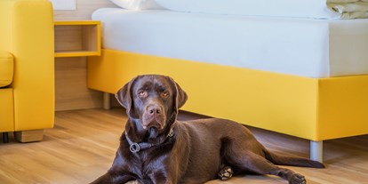 Hundehotel - Umgebungsschwerpunkt: See - Fehring - Hundefreundliche Zimmer - Hi5-Hotel Seiersberg
