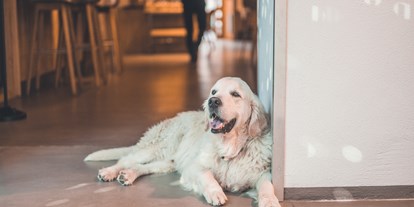 Hundehotel - Hund im Restaurant erlaubt - Ried im Zillertal - Belmondo - Hotel & Wirtshaus Post