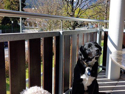 Hundehotel - Umgebungsschwerpunkt: Berg - Oberammergau - Deluxe-Terasse - Bader Suites