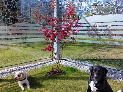 Hundehotel - Umgebungsschwerpunkt: Berg - Niederthai - Garten - Bader Suites