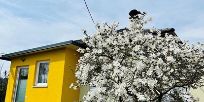 Hundehotel - Unterkunftsart: Einzelhaus - Frühling - Ferienhaus Sausalblick 