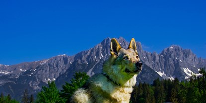 Hundehotel - Doggies: 3 Doggies - Tirol - Hotel Landhof