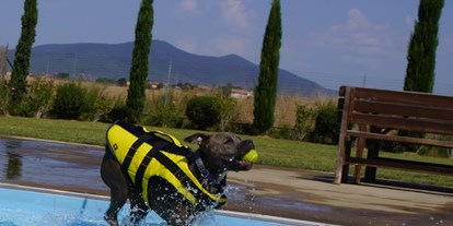 Hundehotel - Wellnessbereich - Italien - Fattoria Maremmana