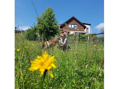 Hundehotel - Thermenland Steiermark - Wir lieben Tiere! Daher haben wir auch einen ehemaligen Bauernhof umgebaut und haben selbst noch jede Menge Tiere - Streichelzoo - Landhaus FühlDichWohl- Boutique Hotel