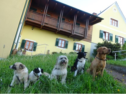 Hundehotel - Doggies: 5 Doggies - Stegersbach - ob groß-ob klein - bei uns darf jeder Brave Wuffi rein! - Landhaus FühlDichWohl- Boutique Hotel
