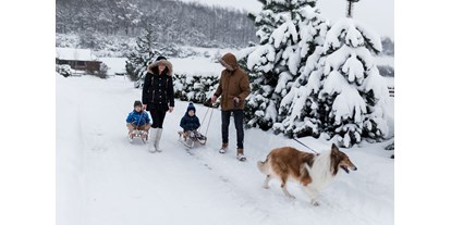 Hundehotel - barrierefrei - Kleinpolen - Spaziergang mit dem Hund - Hotel Mercure Doslonce Raclawice Conference & Spa 4*
