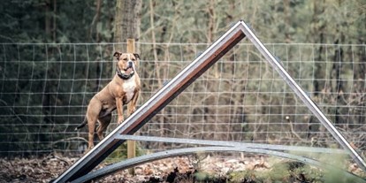 Hundehotel - Unterkunftsart: Chalets - Niedersachsen - 2 eingezäunte Ausläufe - einmal zur Einzelnutzung, einmal zur gemeinsamen Nutzung - Bernsteinsee Hotel & Ferien