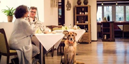 Hundehotel - Unterkunftsart: Ferienhaus - Deutschland - Hundefreundliche Gastronomie:  - Bernsteinsee Hotel & Ferien