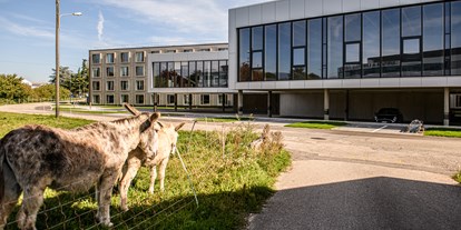 Hundehotel - Umgebungsschwerpunkt: am Land - Waadt - Aussenbereich - AFTERWORK Hotel