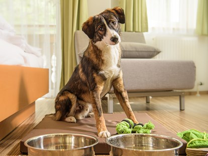 Hundehotel - Wellnessbereich - Pongau - Hundebegrüßungspaket - GRUBERS Hotel Apartments Gastein