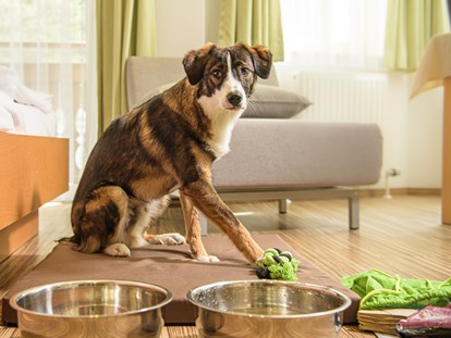 Hundehotel - Doggies: 6 Doggies - Hier schaut mal, Begrüßungspaket mit Spielzeug :-) - GRUBERS Hotel Apartments Gastein