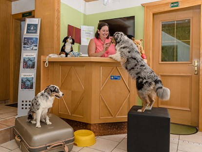 Hundehotel - Österreich - Eine ordentliche Begrüßung darf natürlich nicht Fehlen - GRUBERS Hotel Apartments Gastein
