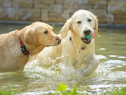 Hundehotel - Trink-/Fressnapf: an der Rezeption - Bad Gastein - Ist dein Hund auch eine Wasserratte? - GRUBERS Hotel Apartments Gastein