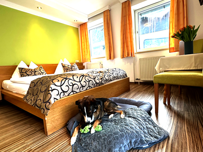 Hundehotel - Salzburg - Hier fühl ich mich "Puddelwohl" - GRUBERS Hotel Apartments Gastein