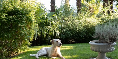 Hundehotel - Hundewiese: nicht eingezäunt - Algund - Pepita  - Villa Hochland