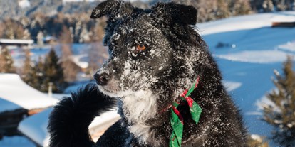 Hundehotel - Hund im Restaurant erlaubt - Marling bei Meran - Winterurlaub mit Hund - Schwarzer Adler 
