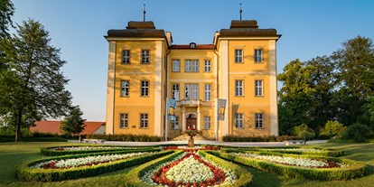 Hundehotel - Halbpension - Grosses Schloss mit Museum - Schloss Lomnitz / Pałac Łomnica