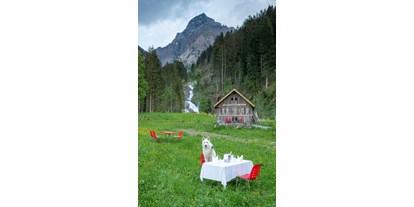 Hundehotel - Verpflegung: Frühstück - Zermatt - Digital Detox Hotel & Restaurant Simmenfälle 