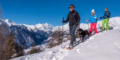 Hundehotel - Halbpension - Schneeschuh-Wandern mit dem Nationalpark-Ranger. Dein Hund darf mit ! - Almchalet Goldbergleiten | Romantische Berghütte - traumhafte Sonnenlage im Nationalpark Hohe Tauern