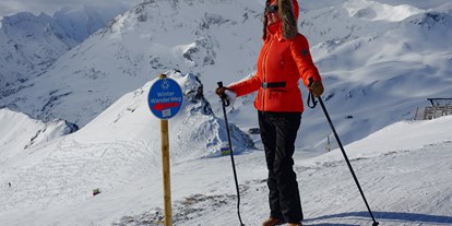 Hundehotel - Tiefkühler - Winterwandern auf 2.600 Metern - am Schareck - Almchalet Goldbergleiten | Romantische Berghütte - traumhafte Sonnenlage im Nationalpark Hohe Tauern