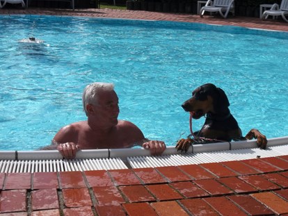 Hundehotel - Postmünster - Badevergnügen für alle - Seehotel Moldan