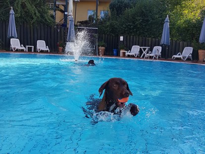 Hundehotel - Postmünster - Badespaß für Mensch und Hund - Seehotel Moldan
