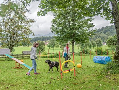 Hundehotel - Hundewiese: eingezäunt - Schladming-Dachstein - Agility Park für Hunde direkt am Hotelgelände, auch im Winter - Almfrieden Hotel & Romantikchalet