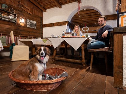 Hundehotel - Umgebungsschwerpunkt: am Land - Schladming - Gemütliches Restaurant mit Hund - Almfrieden Hotel & Romantikchalet