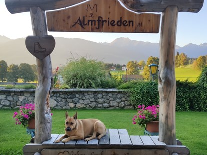 Hundehotel - Klassifizierung: 4 Sterne - Ramsau am Dachstein - Almfrieden Hotel & Romantikchalet