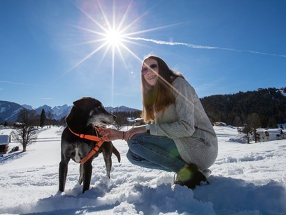 Hundehotel - Doggies: 6 Doggies - Spaß im Schnee - Almfrieden Hotel & Romantikchalet