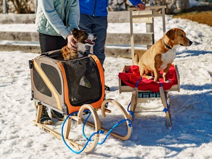 Hundehotel - Umgebungsschwerpunkt: Berg - Schladming - Hundeschlitten - Verleih im Hotel - Almfrieden Hotel & Romantikchalet