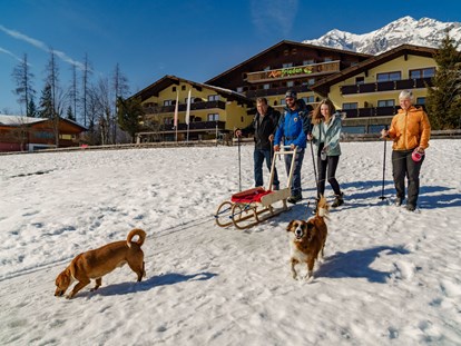 Hundehotel - Doggies: 6 Doggies - Winterwandern direkt vom Hotel - Almfrieden Hotel & Romantikchalet