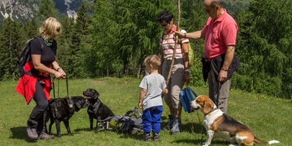 Hundehotel - Verpflegung: Halbpension - Niederösterreich - Wildkräuterhotel Steinschalerhof