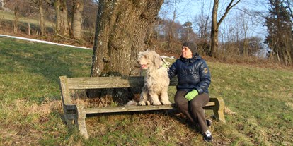 Hundehotel - Besorgung Hundefutter - Österreich - Erholungsbankerl auf der Himmlischen Runde (Rundweg ca. 8km  - geht vom Hotel weg) - Wildkräuterhotel Steinschalerhof