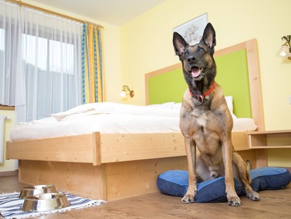 Hundehotel - Umgebungsschwerpunkt: Berg - Rauris - Doppelzimmer - Hotel Grimming Dogs & Friends